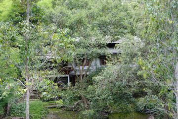 Poster - small house in the forest