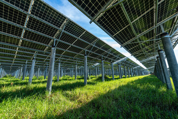 Wall Mural - Solar power station