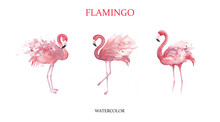 Watercolor Illustration. Three Pink Flamingos. Feathers With Watercolor Spray.