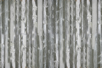 Wall Mural - Close-up of gray wood texture.Texture or background