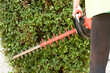 © Studio KIVI - gardener trims a bush with a brush cutter