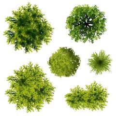 Wall Mural - set of 3d watercolor tree top view for landscape plan and architecture layout