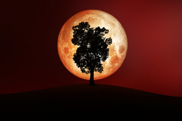 Full Moon in space with silhouette of tree on hill. (Elements of this image furnished by NASA.)