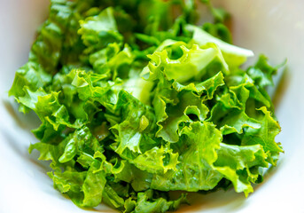 Fresh Lettuce, green salad close-up.