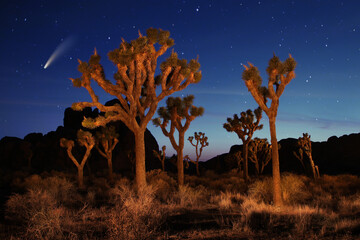 Wall Mural - Landscape Image of the Stars in the Universe