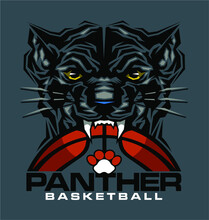 Panther Basketball Team Design With Ball And Mascot For School, College Or League