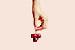 © Gustavo Pozo/ADDICTIVE STOCK - Faceless person holding ripe grapes on pink background in studio