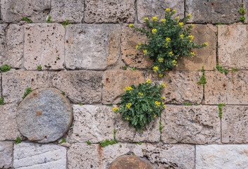 Poster - Wall filled with Roman columns in port in Byblos, Lebanon, one of the oldest cities in the world