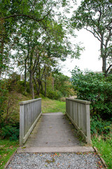 Wall Mural - Footpath on Lake Luch Lubnaig