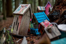 Colourfully Painted Birdhouses In The Forest