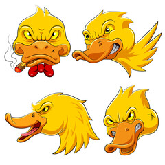 Set collection of duck Head Mascot