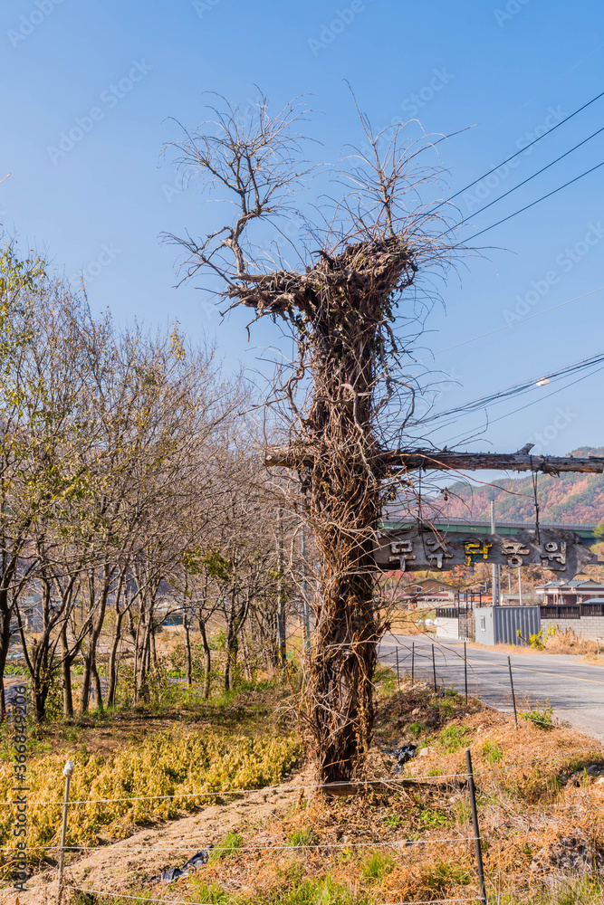 Muju Village Plantation written in Korean on directional sign. Stock ...