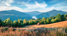 Panoramic Morning View Of The Valley Of Lacul Dragan Lake, Cluj County, Romania. Bright Summer Scene On Apuseni Mountains. Beauty Of Nature Concept Background.