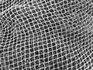 mesh background