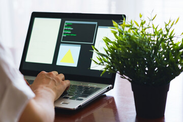 Wall Mural - japanese senior woman engineer debugging source code on remote work