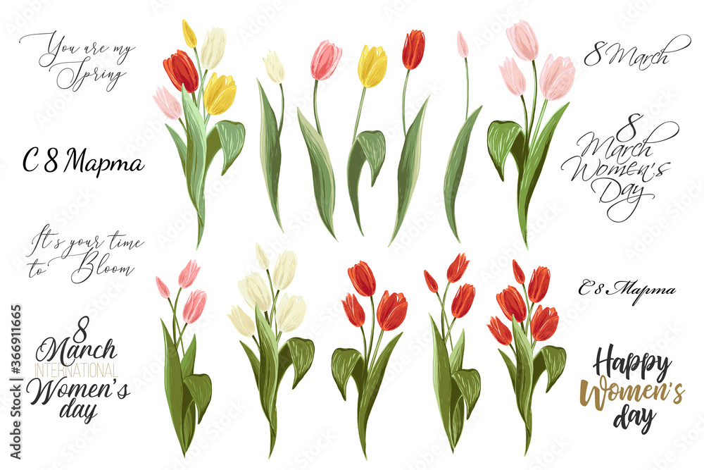 International women day text in russian, 8 march lettering, and colorful tulip bouquet. Spring floral elements. Set of blossom vector flowers. Simple digital watercolor illustration. Vintage graphic - obrazy, fototapety, plakaty 