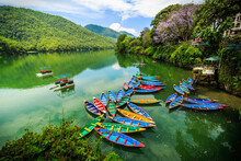 Colorful Boats On The Boarder Of The Phewa Lake At Pokhara, Nepal.
