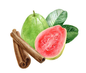 Wall Mural - Cinnamon sticks guava composition of watercolor illustration isolated on white background