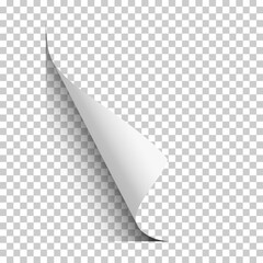 Wall Mural - Vector page lower left curl with shadow on blank transparent sheet of paper