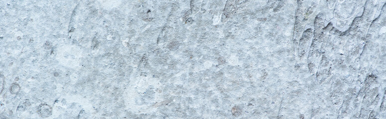 Wall Mural - rough abstract grey concrete textured wall, panoramic orientation