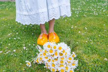 Bouquet Beautiful White Daisies In Summer Garden. Chamomiles In Green Grass. Women Wearing In White Dress And Traditional Dutch Wooden Shoes - Yellow Clogs Klompen On Background Bouquet Of Flowers.