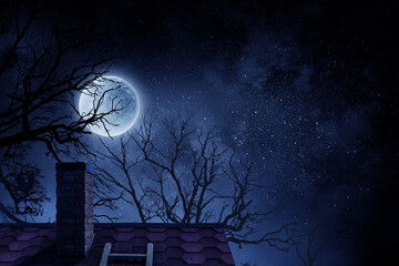 Wall Mural - spooky night image . mixed media