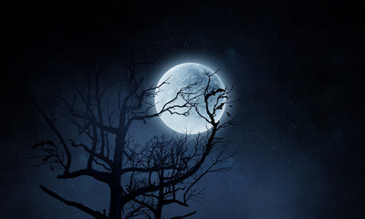 Wall Mural - spooky night image . mixed media