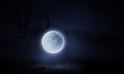 Wall Mural - spooky night image . mixed media