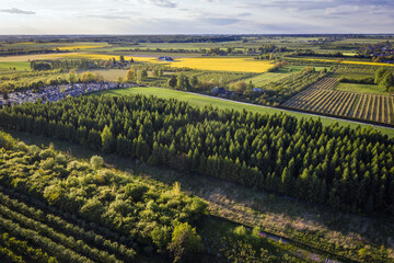 Poster - Drone view of rural area in Rogow village, Lodz Province of Poland