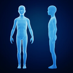 3d rendering of a child body from side and front