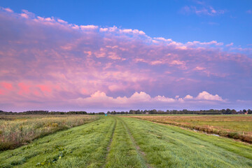 Poster - Sunset over track through meadows