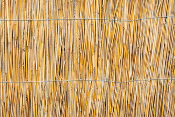  Natural background. A wattle or fence made of dry twigs