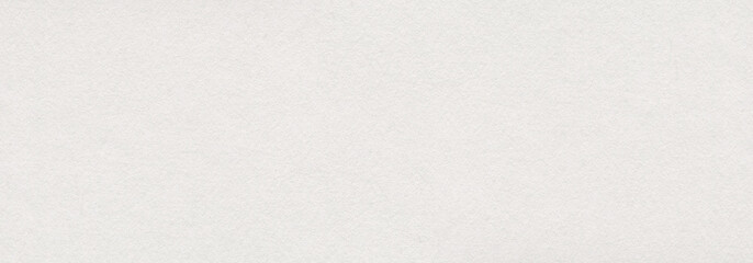 Wall Mural - white watercolor paper texture