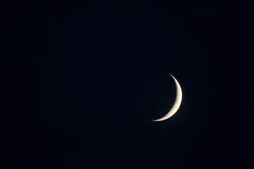 the moon is a companion of our planet