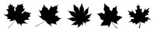 Silhouettes Leaf Maple Icon, Set. Vector, Illustration