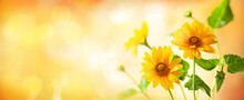 Beautiful Yellow Flowers On Blurred Background With Bokeh And Copy Space. Autumn Or Summer Festive Natural Background.
