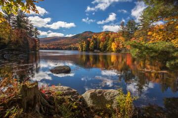 Vermont Paradise