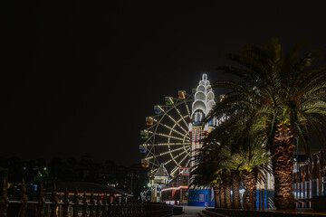 Wall Mural - Night panoramic cityscape from Sidney on february, 2018