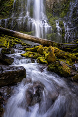 Canvas Print - Oregon Waterfall at Proxy Falls - Colorful Waterfall