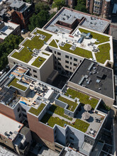 Green Rooftops In Chicago, Illinois