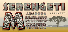 Serengeti Font: A Zebra Striped Alphabet Design