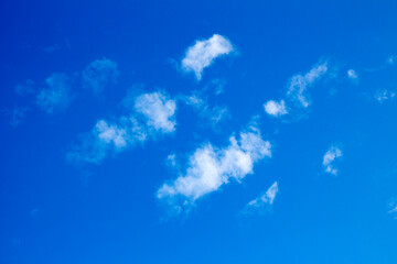 Sticker - Alto cumulus in a clear sky