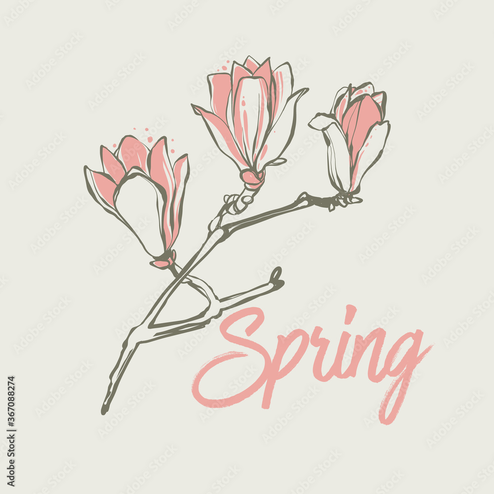 Magnolia flower branch and spring text pink color. Vintage style on ...
