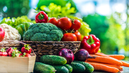 Wall Mural - Variety of fresh organic vegetables and fruits in the garden