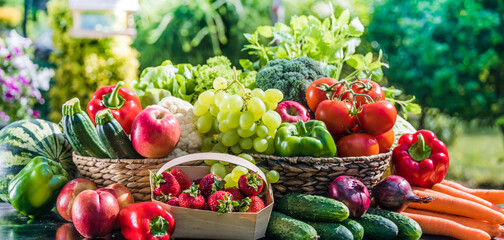 Wall Mural - Variety of fresh organic vegetables and fruits in the garden