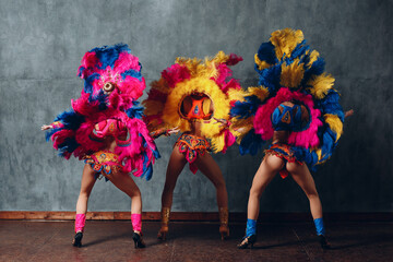 Wall Mural - Three Woman in brazilian samba carnival costume with colorful feathers plumage.