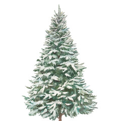 watercolor christmas tree. holiday card with snow covered tree isolated on white background.