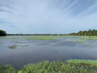 Wall Mural - Lac à Angkor, Cambodge