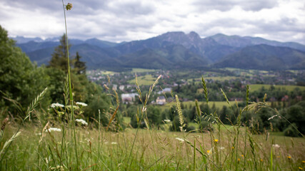 europe tatra mountains green grass mountain slope sky beautiful view