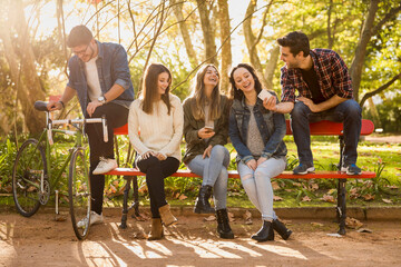 Students in the park